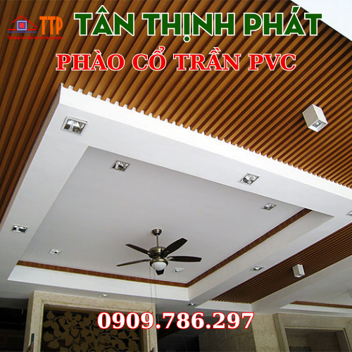 Phào cổ trần pvc Bà Rịa Vũng Tàu