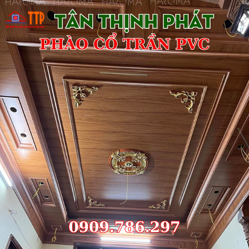 Phào cổ trần pvc bà rịa vũng tàu