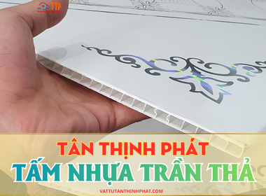 https://vattutanthinhphat.com/tam-nhua https://vattutanthinhphat.com/tam-nhua