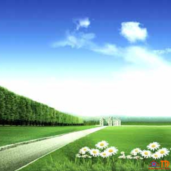 TRANH 3D PVC-TGI-FJ-P056