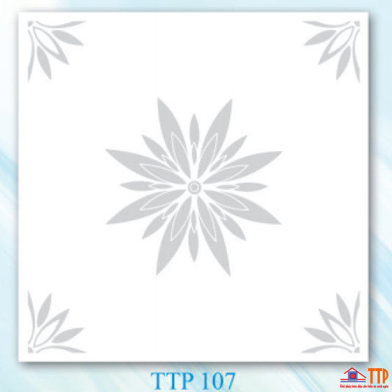 Tấm thạch cao TTP-107