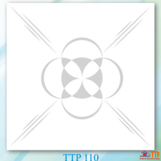 Tấm thạch cao TTP-110