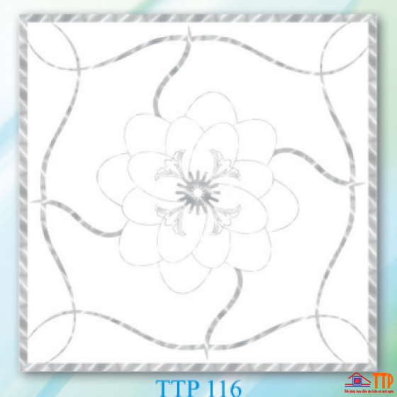Tấm thạch cao TTP-116
